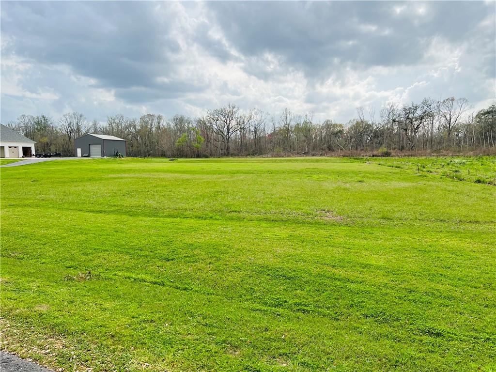 8669 New River Road St. Amant, LA 70774 - Photo 3 of 4 Gallery Image 3