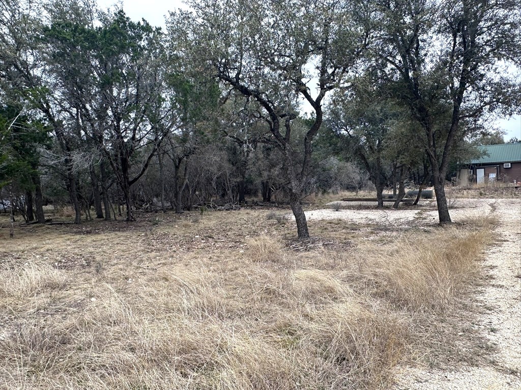 557 Squirrel Bend Uvalde, TX 78801 - Photo 14 of 32