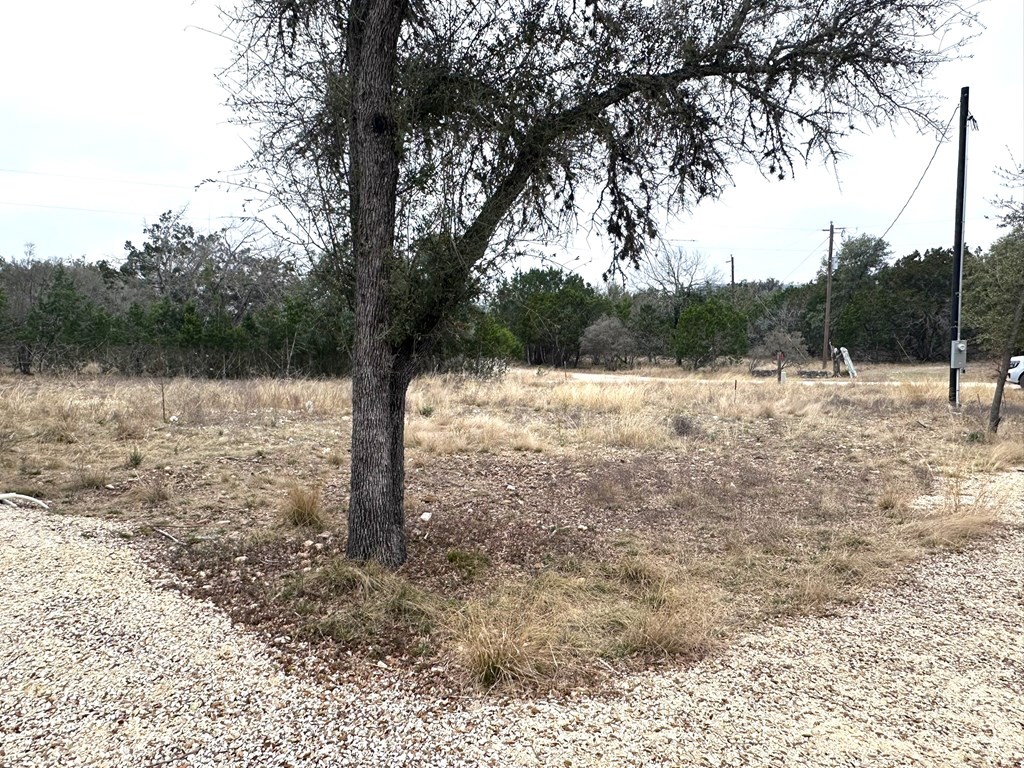557 Squirrel Bend Uvalde, TX 78801 - Photo 15 of 32