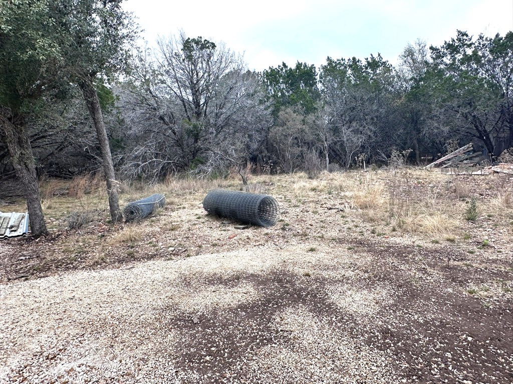 557 Squirrel Bend Uvalde, TX 78801 - Photo 17 of 32