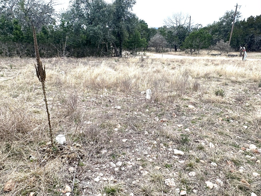557 Squirrel Bend Uvalde, TX 78801 - Photo 18 of 32