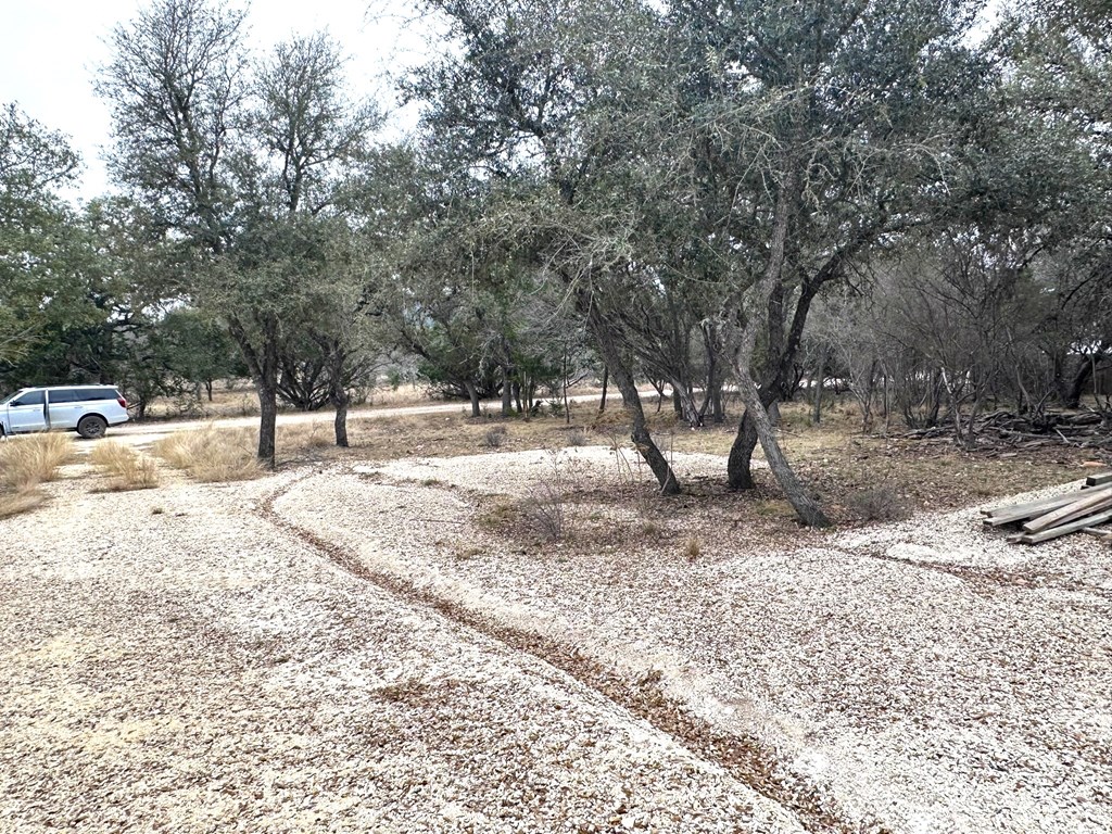 557 Squirrel Bend Uvalde, TX 78801 - Photo 20 of 32