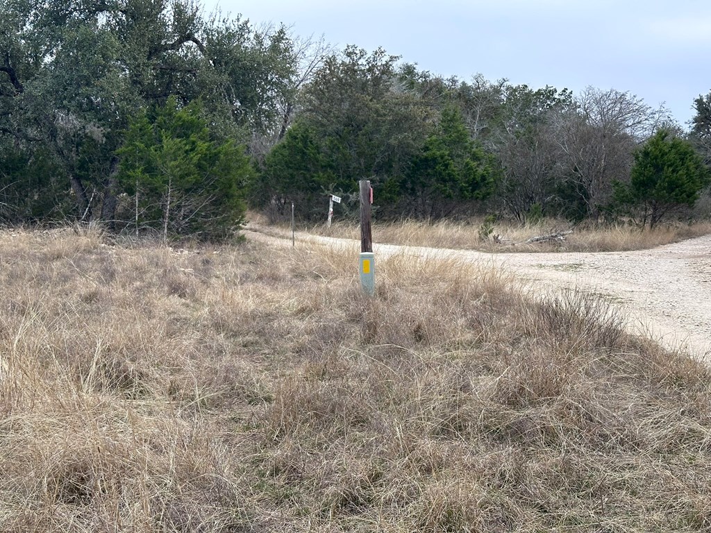 557 Squirrel Bend Uvalde, TX 78801 - Photo 21 of 32