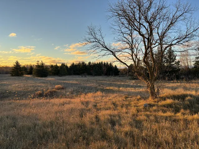 $429,900 | 58988 Co Highway 50, Deer Creek, MN 56527