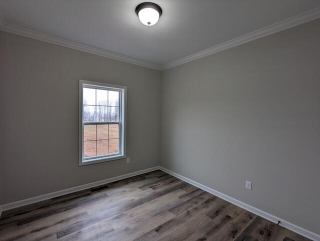 1345 Hale Road Northeast Check, VA 24072 - Photo 17 of 38 an empty room with wooden floor and windows
