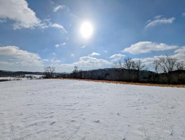 1345 Hale Road Northeast Check, VA 24072 - Photo 7 of 38 a view of a lake