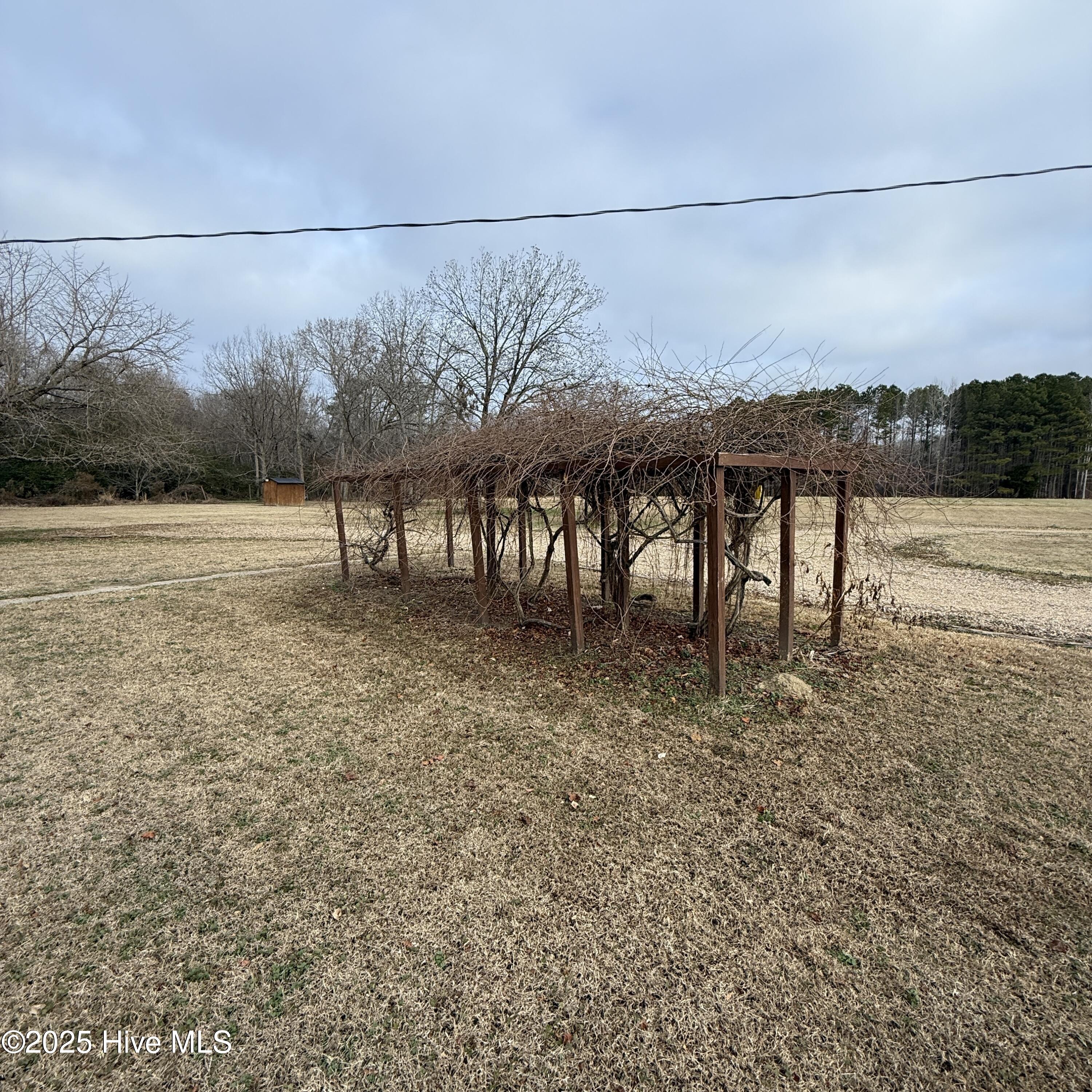 233 Burnt Mill Road Edenton, NC 27932 - Photo 19 of 20 IMG_3905
