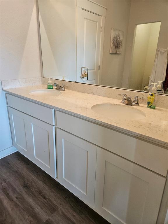 312 Gidran Trail Georgetown, TX 78626 - Photo 12 of 14 Dual vanity featuring white shaker-style cabinetry
