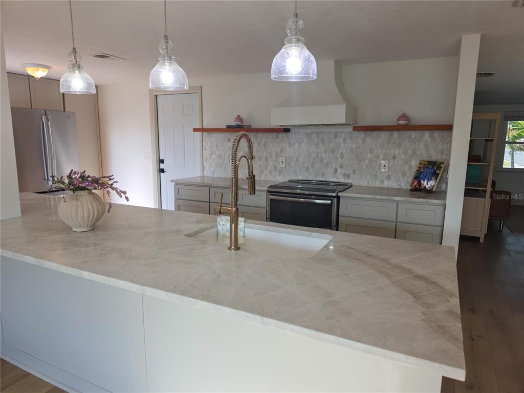 505 Red Mangrove Lane Apollo Beach, FL 33572 - Photo 5 of 24 a kitchen with granite countertop a stove and a sink with granite countertops