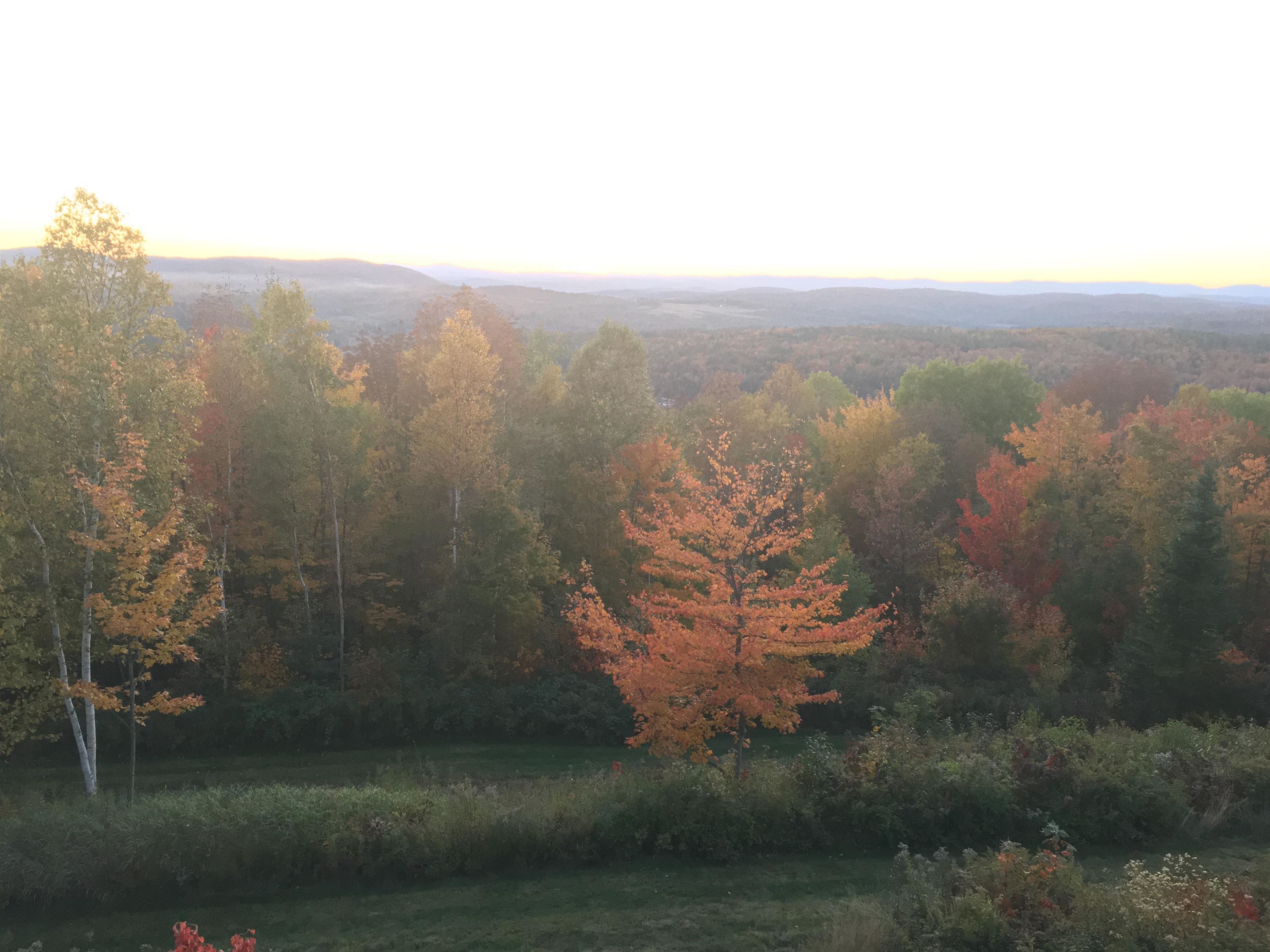 223 Goudreault Hill Road Concord, VT 05824 - Photo 56 of 58