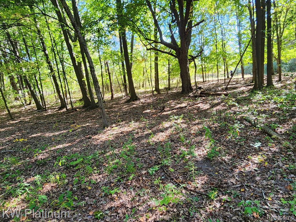 8060 Brockway Road Melvin, MI 48454 - Photo 32 of 39