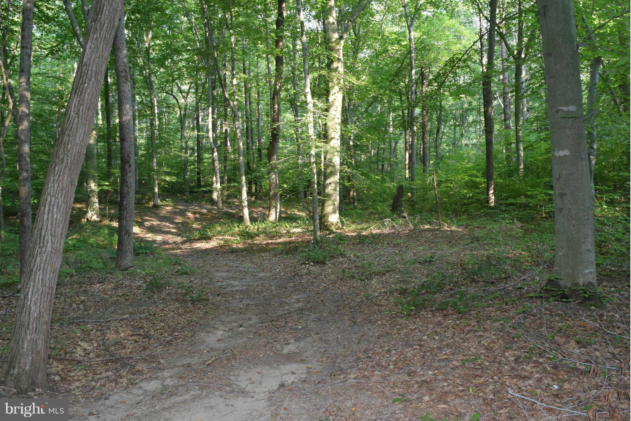 Cabin Road Aberdeen, MD 21001 - Photo 2 of 15 Wooded Lot