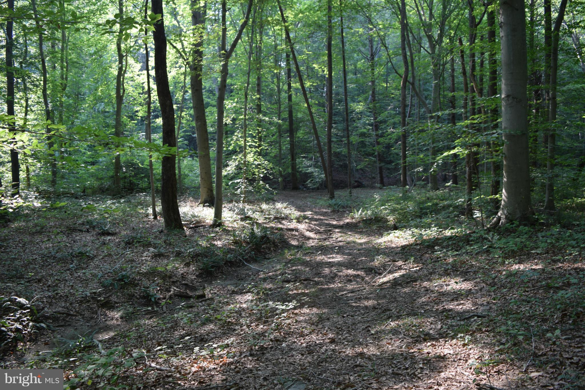 Cabin Road Aberdeen, MD 21001 - Photo 13 of 15 Wooded Lot