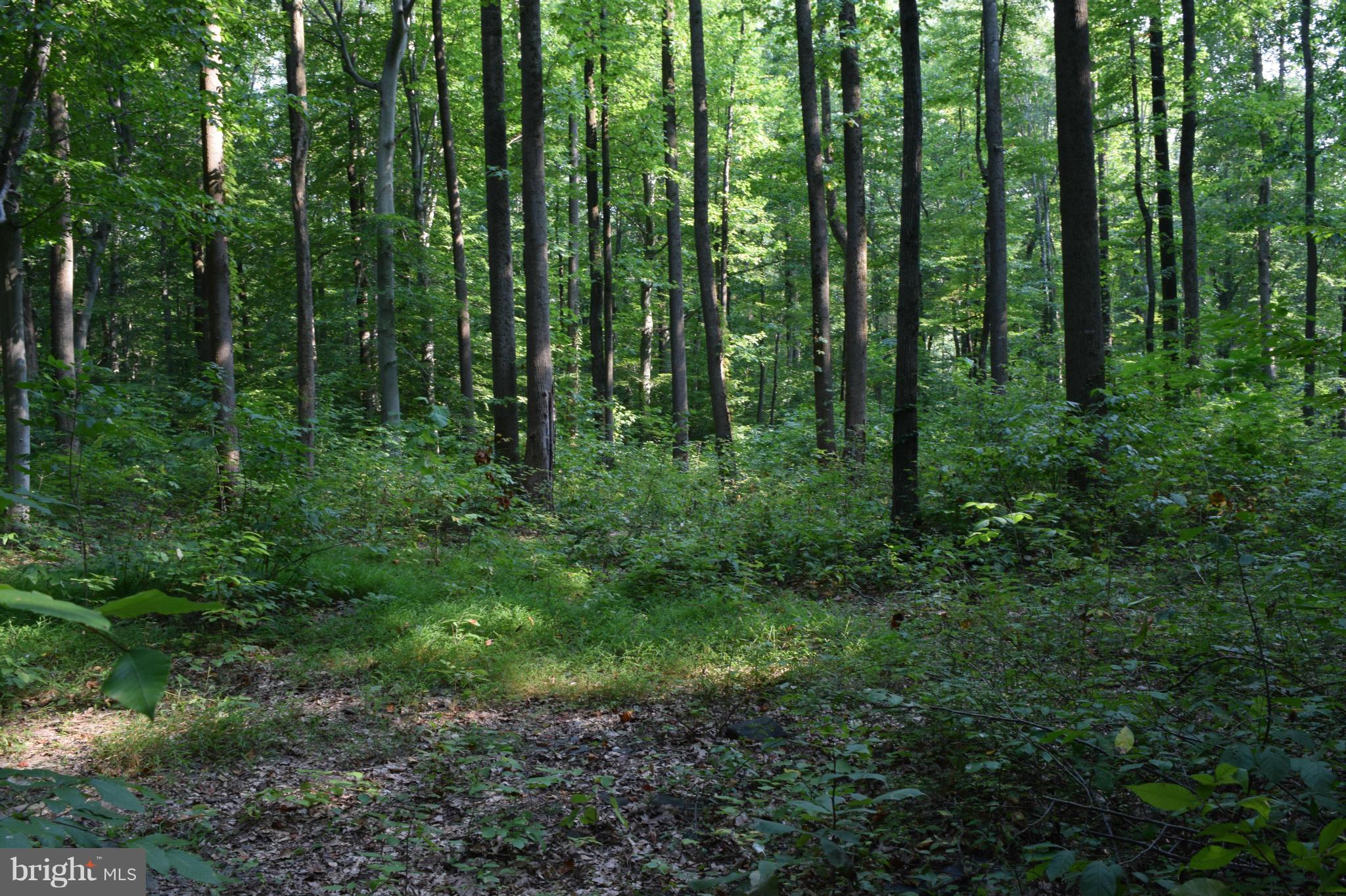 Cabin Road Aberdeen, MD 21001 - Photo 15 of 15 Wooded Lot