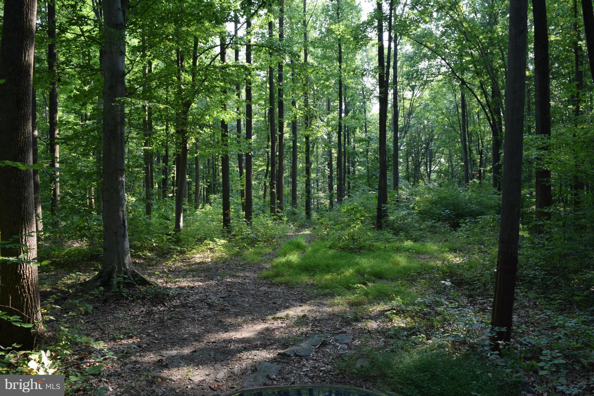 Cabin Road Aberdeen, MD 21001 - Photo 4 of 15 Open Spaces!