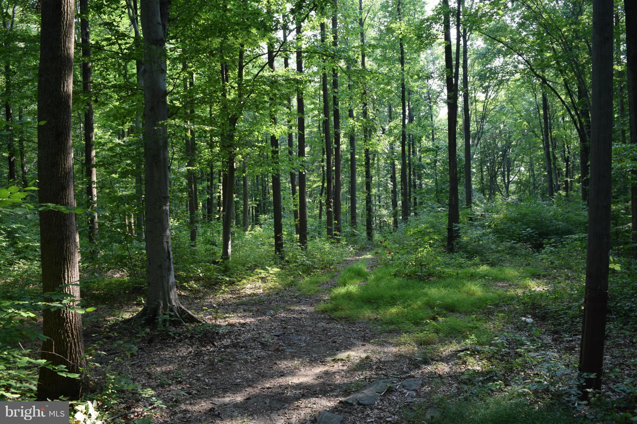 Cabin Road Aberdeen, MD 21001 - Photo 5 of 15 Open Spaces!