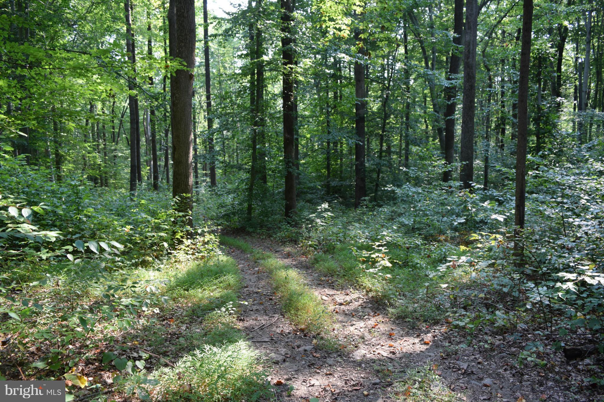 Cabin Road Aberdeen, MD 21001 - Photo 8 of 15 Wooded Lot