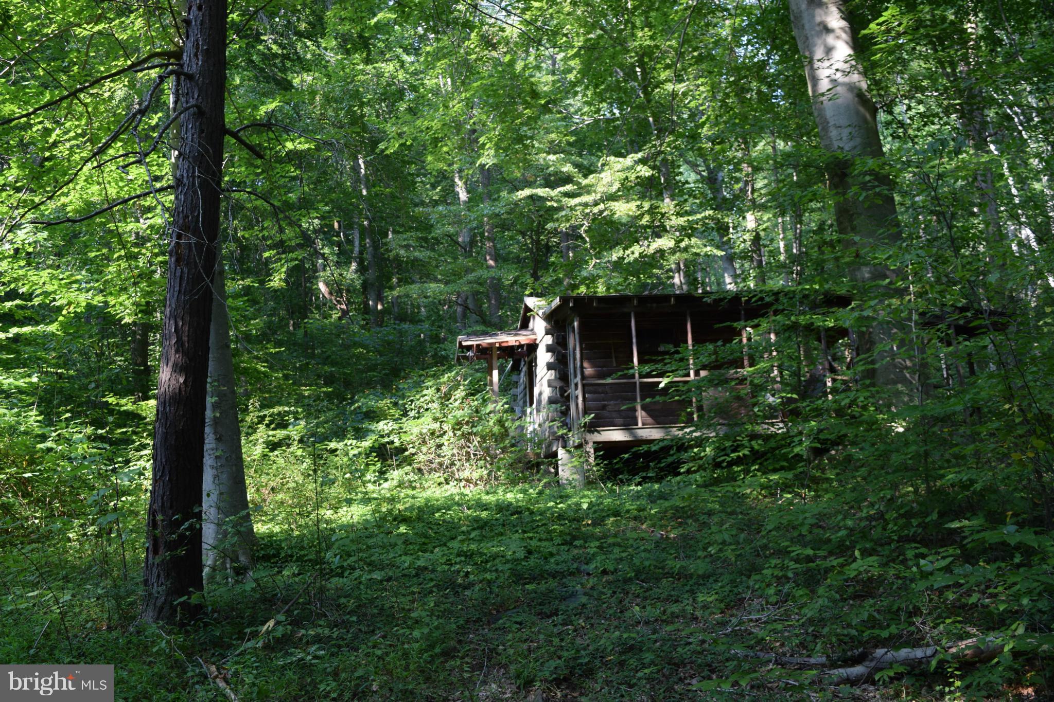 Cabin Road Aberdeen, MD 21001 - Photo 10 of 15 Wooded Lot w/ Cabin (not habitable)
