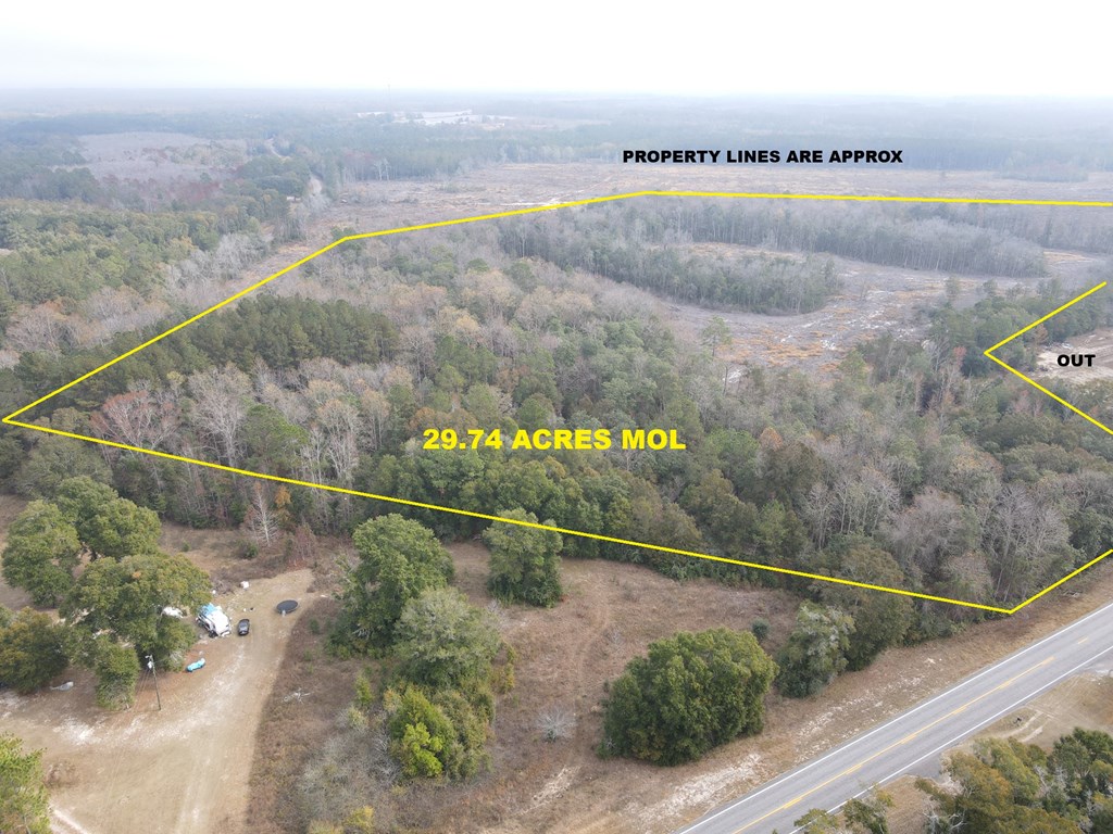 87 Highway 87 Samson, AL 36477 - Photo 4 of 47