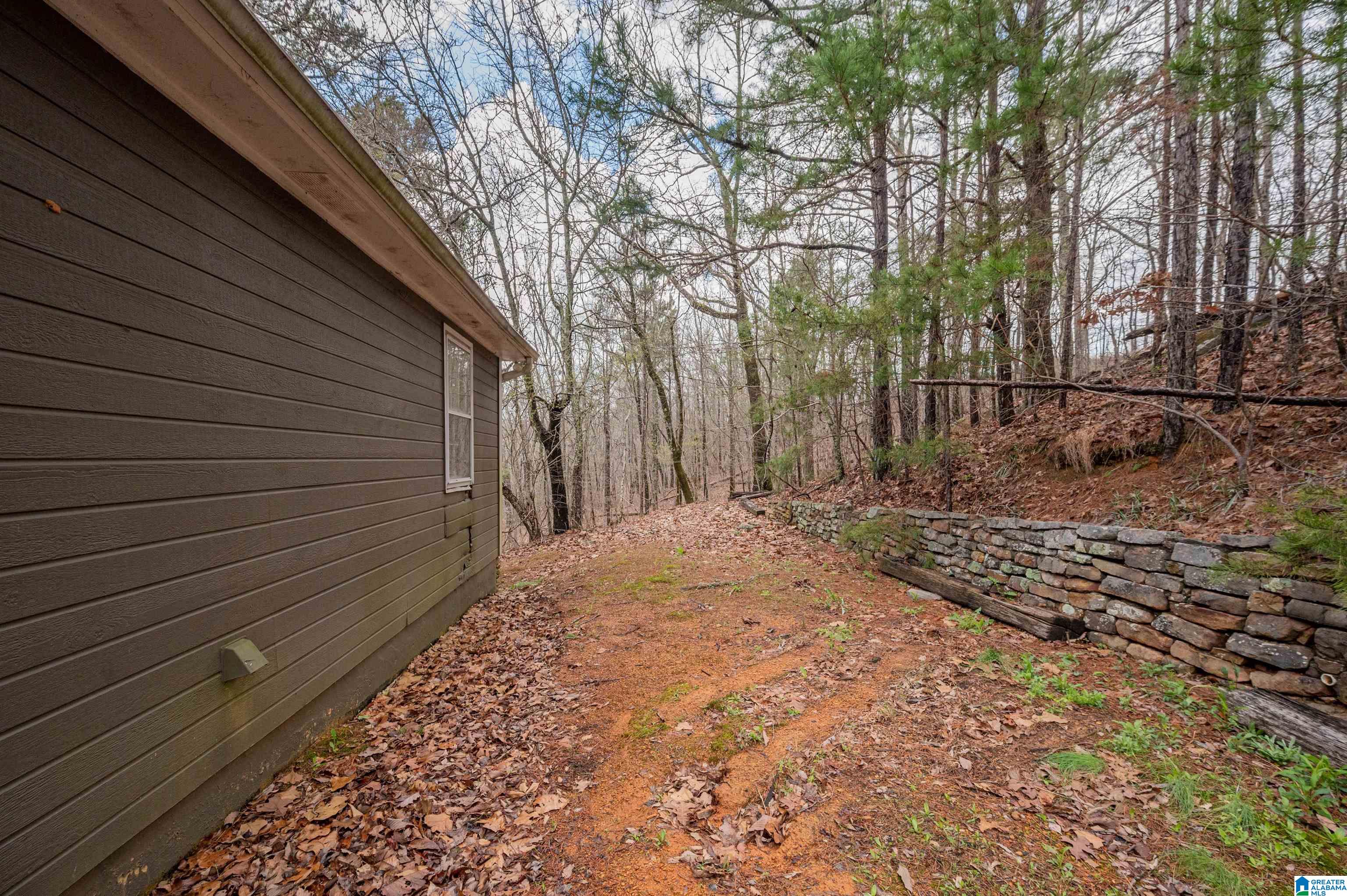 4076 Co Highway 24 Springville, AL 35146 - Photo 43 of 50