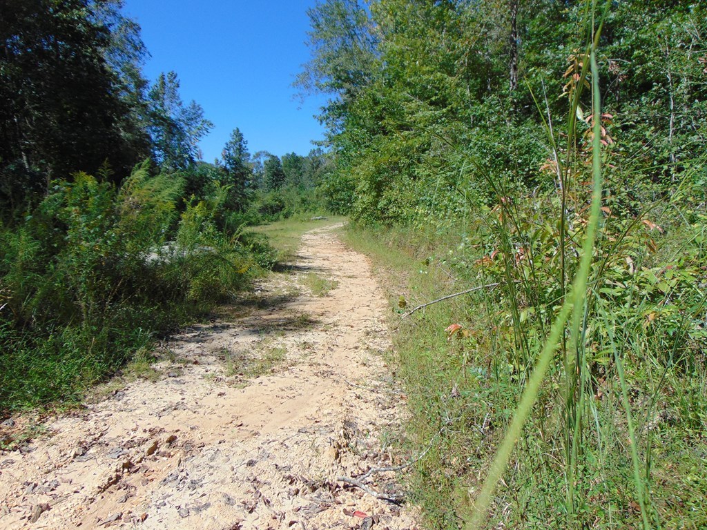 7091 King Road Wesson, MS 39191 - Photo 20 of 26 Photo 20