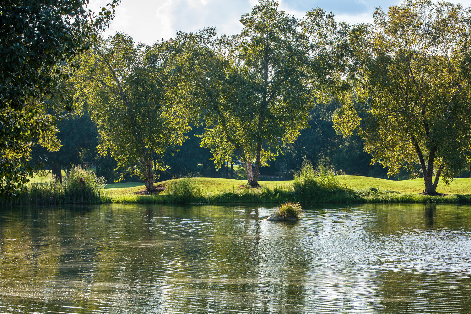 504 Raven Wolf Road Chattanooga, TN 37421 - Photo 70 of 76 Council_Fire_10