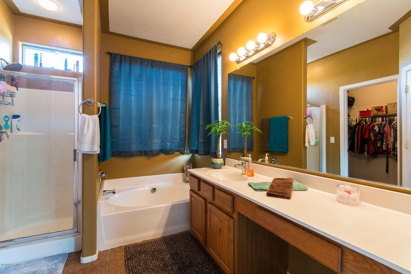 3221 West Shumway Farm Road Phoenix, AZ 85041 - Photo 16 of 32 Master bathroom