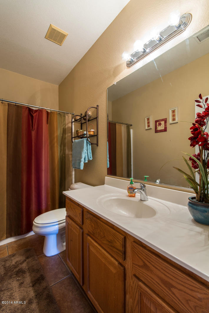 3221 West Shumway Farm Road Phoenix, AZ 85041 - Photo 20 of 32 Hallway bathroom
