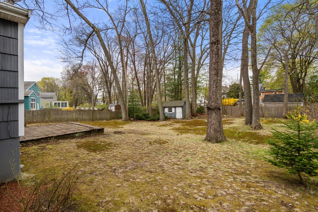 18 Royce Road Framingham, MA 01701 - Photo 25 of 30 a view of a yard with a tree