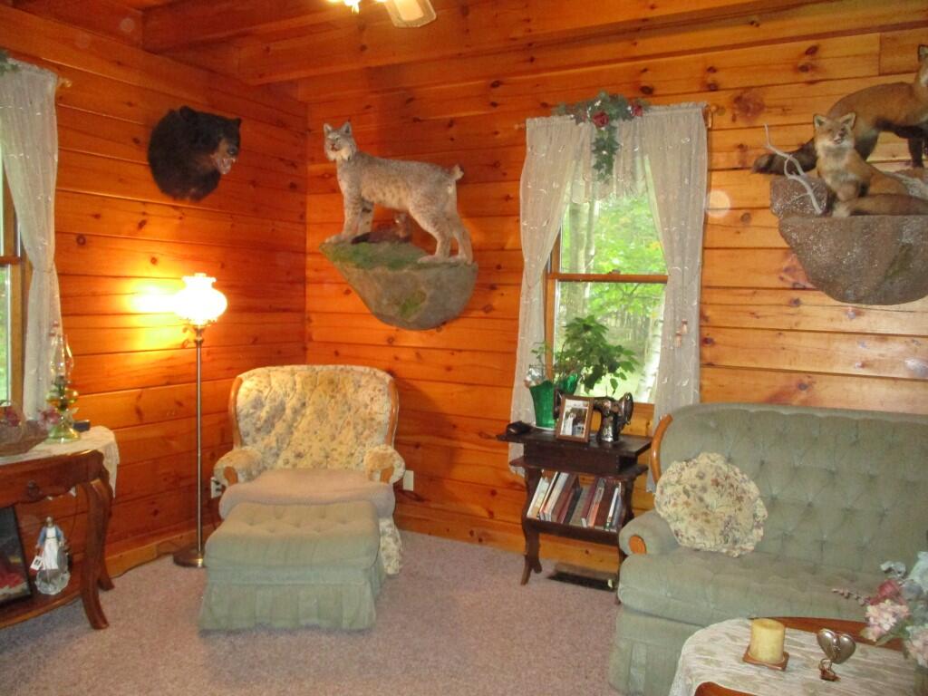 176 Stetson Road Hartford, ME 04220 - Photo 37 of 122 176 Stetson 062 (Custom) - Copy