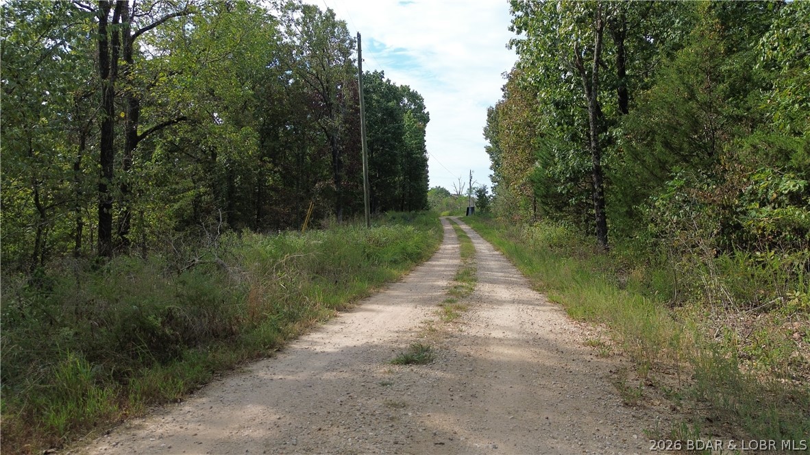Ozark Trail Road Lincoln, MO 65338 - Photo 3 of 6 Gallery Image 3