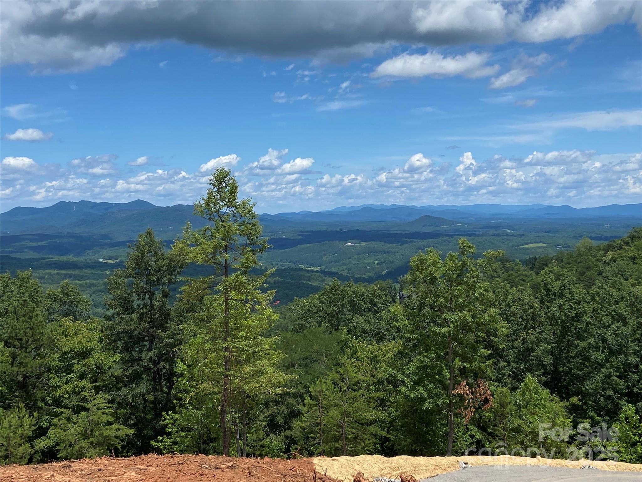 0 Half Moon Mile None, Unit 122 Lake Lure, NC 28746 - Photo 1 of 19 a view of a lake in middle of green field