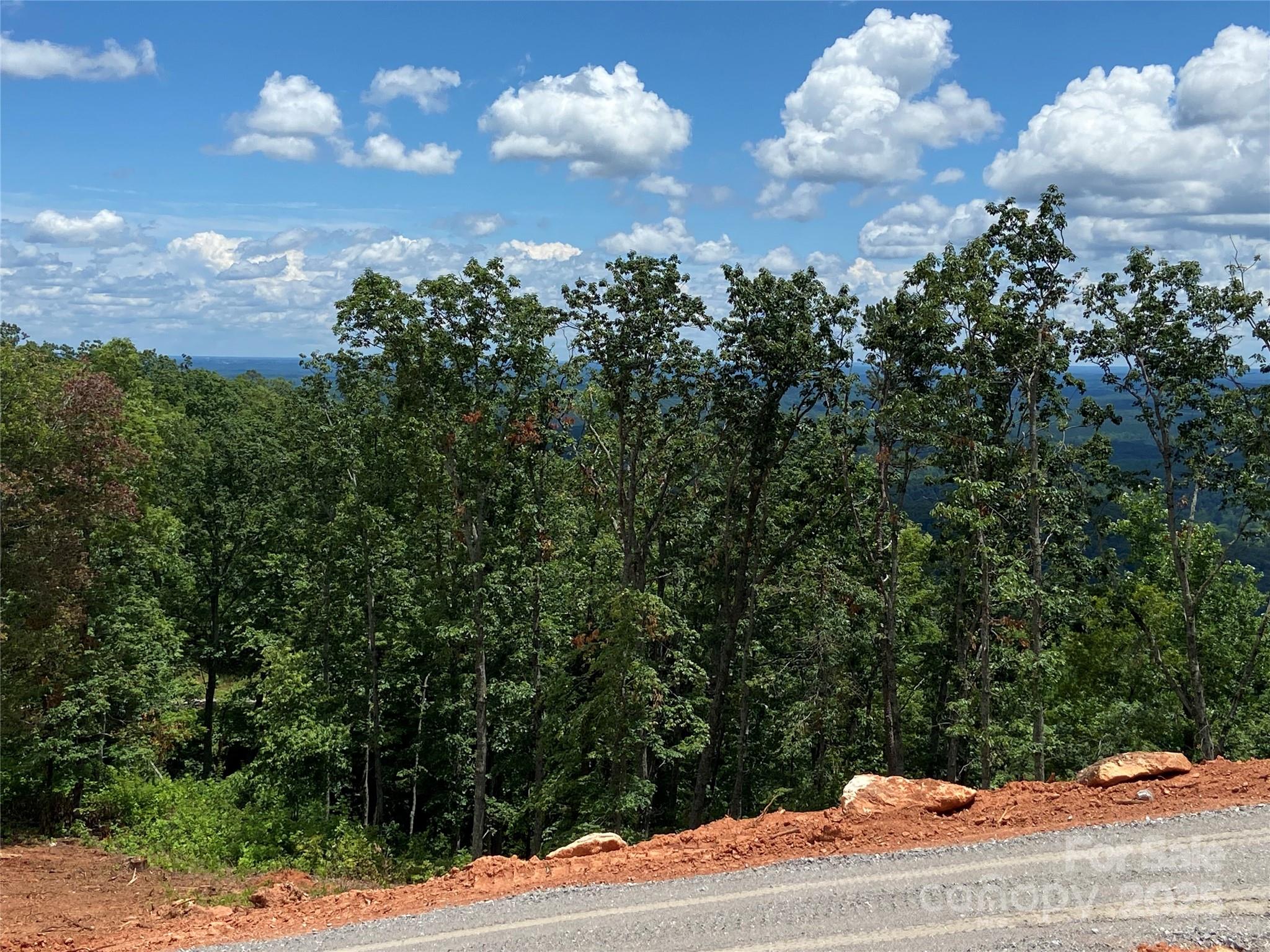 0 Half Moon Mile None, Unit 122 Lake Lure, NC 28746 - Photo 3 of 19 a view of a yard