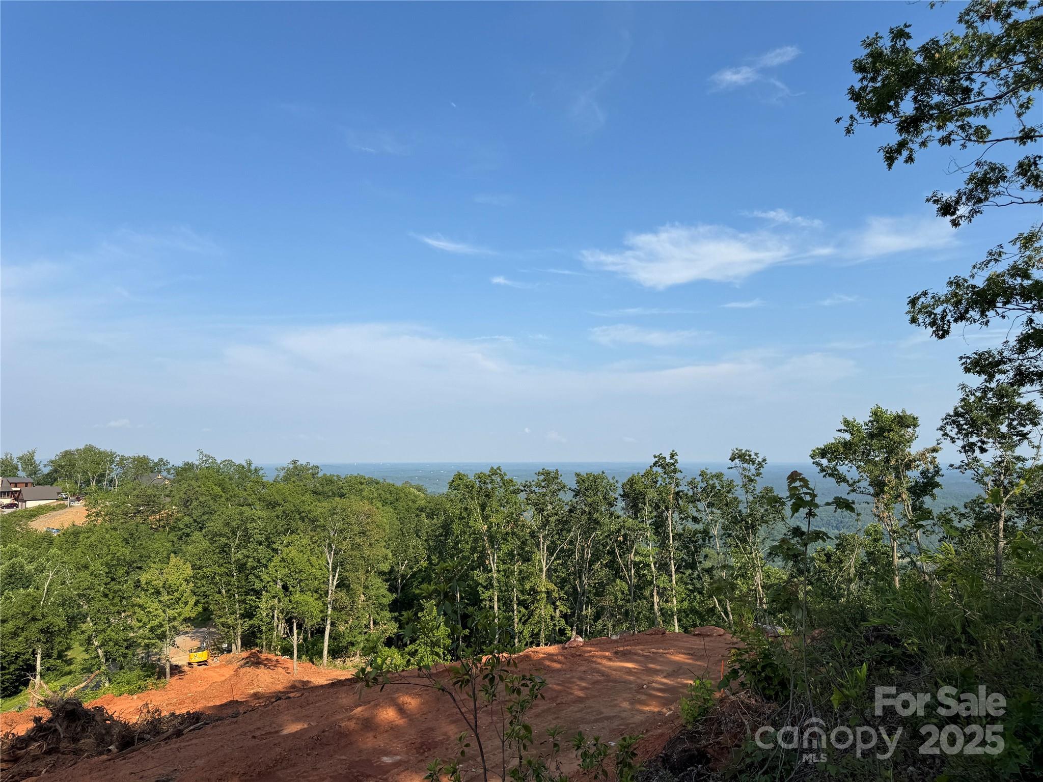 0 Half Moon Mile None, Unit 122 Lake Lure, NC 28746 - Photo 6 of 19 a view of a city with lush green forest