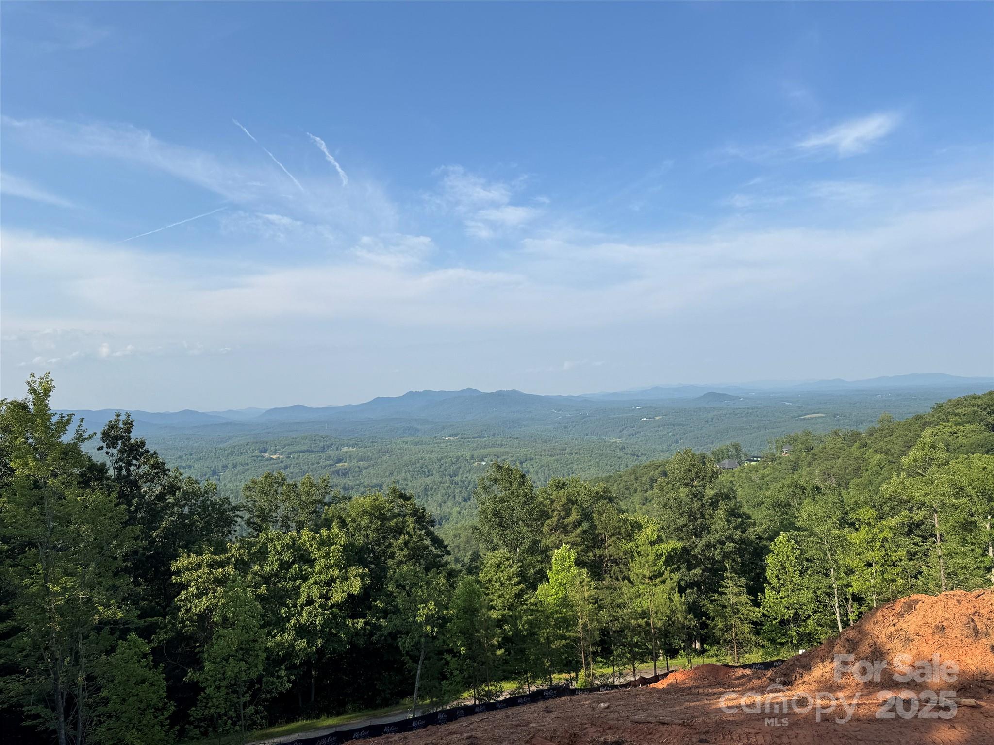 0 Half Moon Mile None, Unit 122 Lake Lure, NC 28746 - Photo 7 of 19 an aerial view of forest