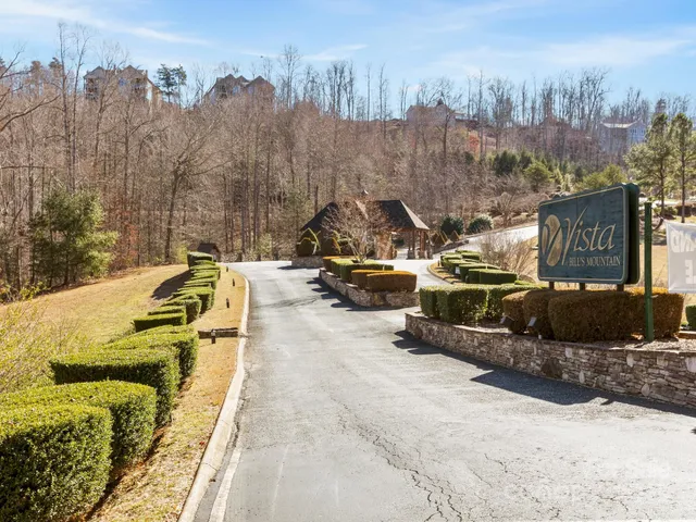 a view of a park with large trees
