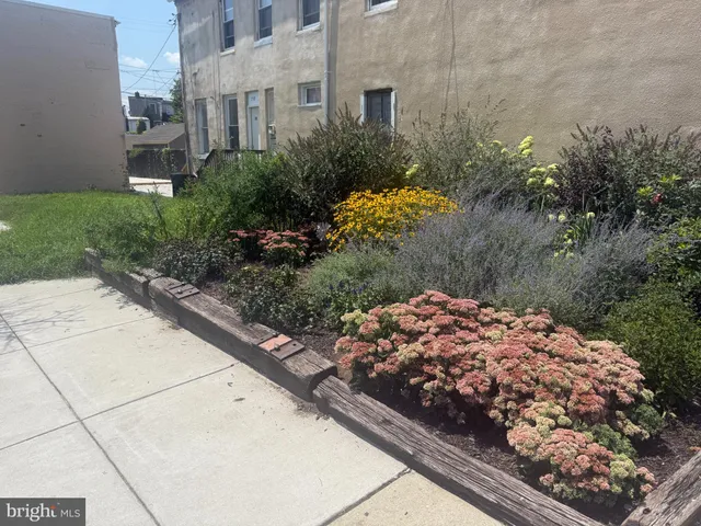 a view of a street with flower plants
