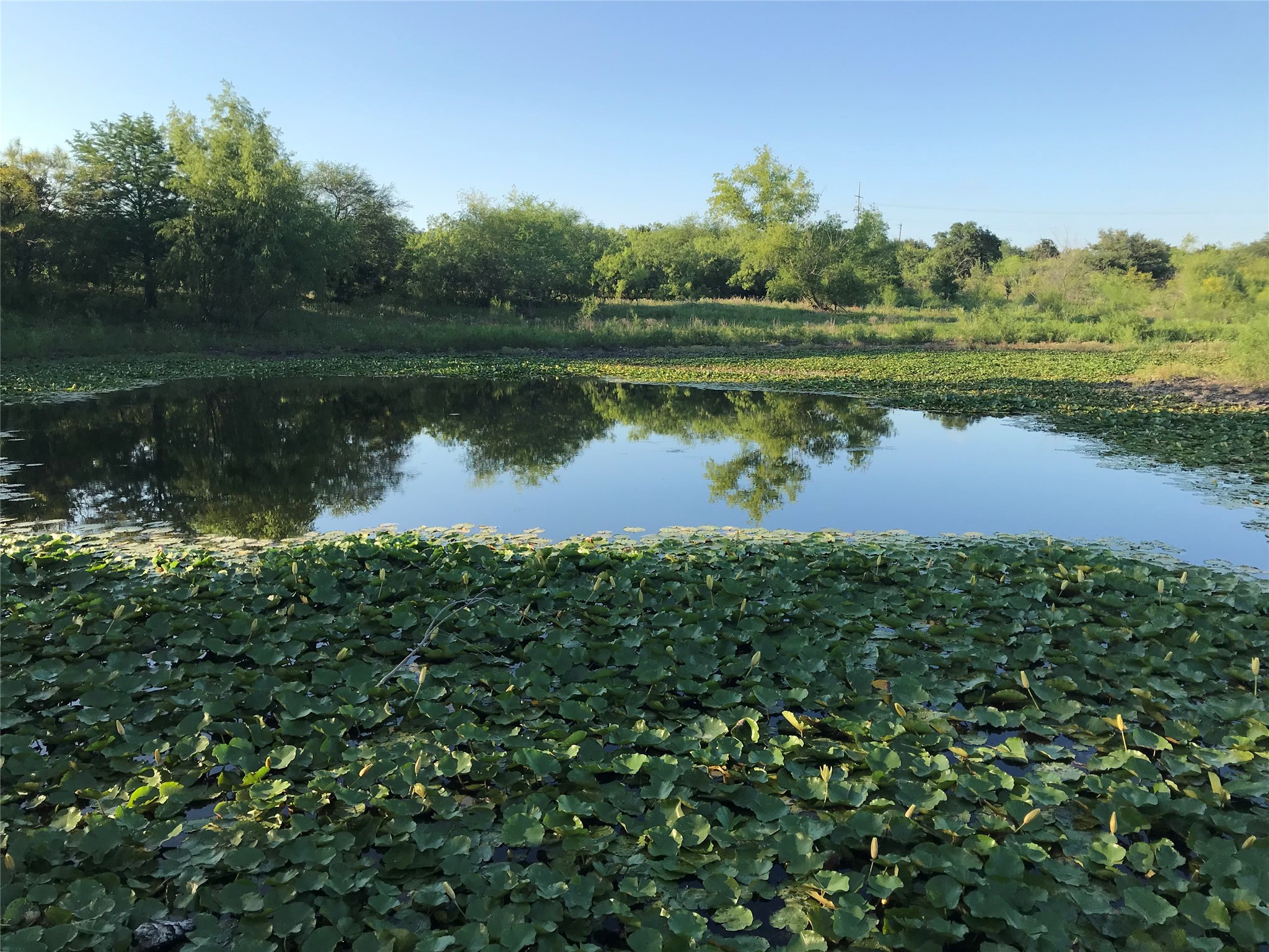 15501 Goforth Road Kyle, TX 78640 - Photo 6 of 20 Seasonal Pond