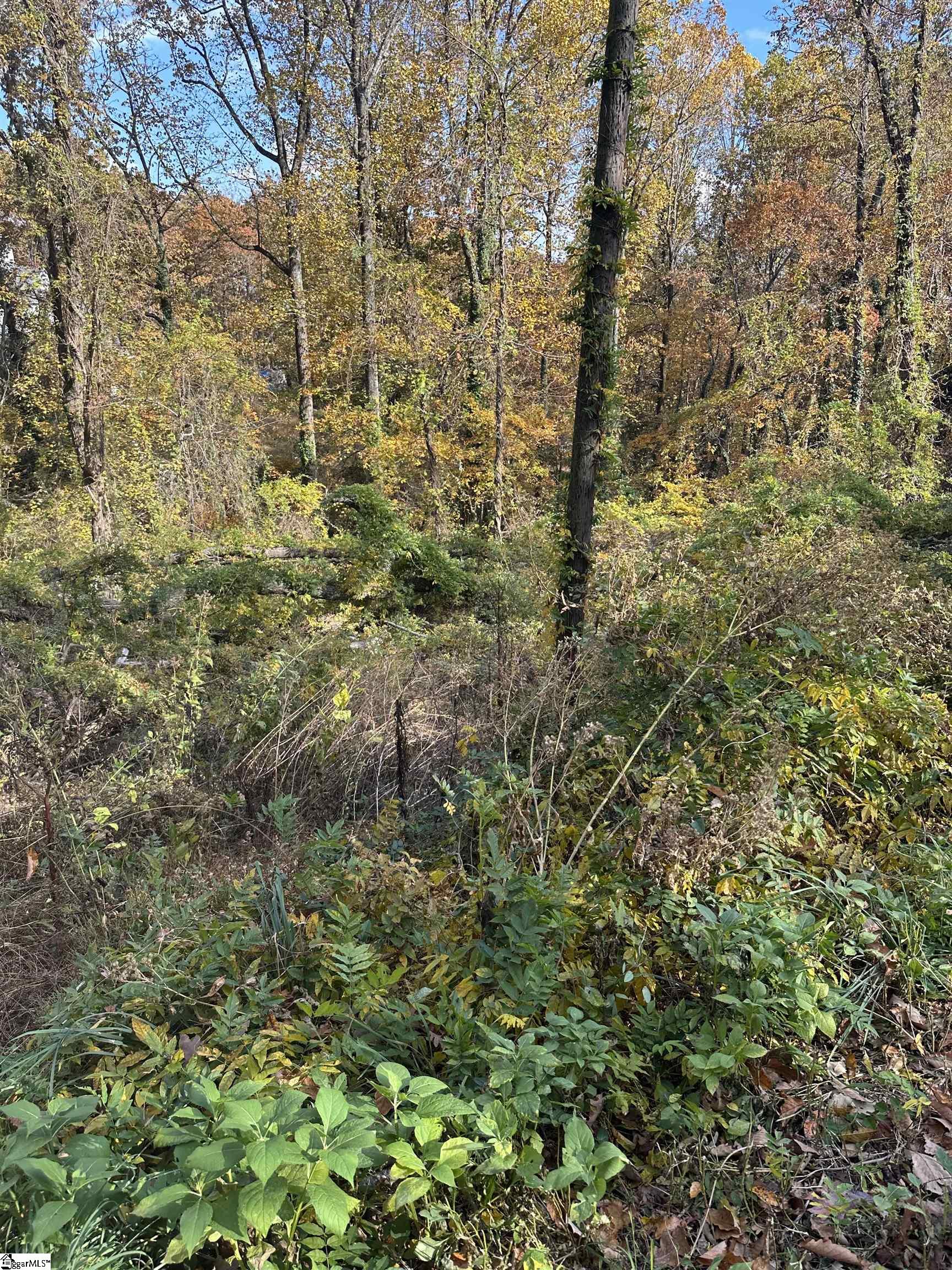 0 Altamont Road Greenville, SC 29609 - Photo 1 of 1 Gallery Image 1