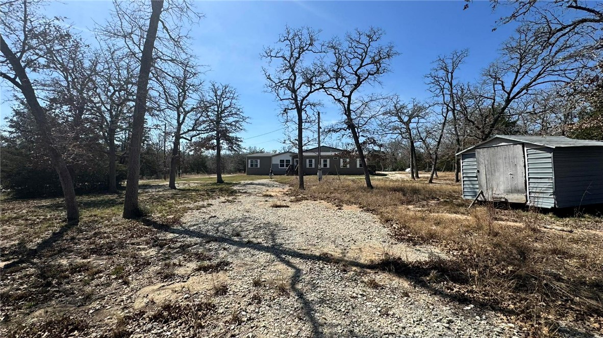 100 Patriots Place Somerville, TX 77879 - Photo 14 of 28 a view of backyard with green space