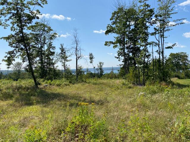 Lot #7 Cape Jellison Road Stockton Springs, ME 04981 - Photo 11 of 15 IMG_1578