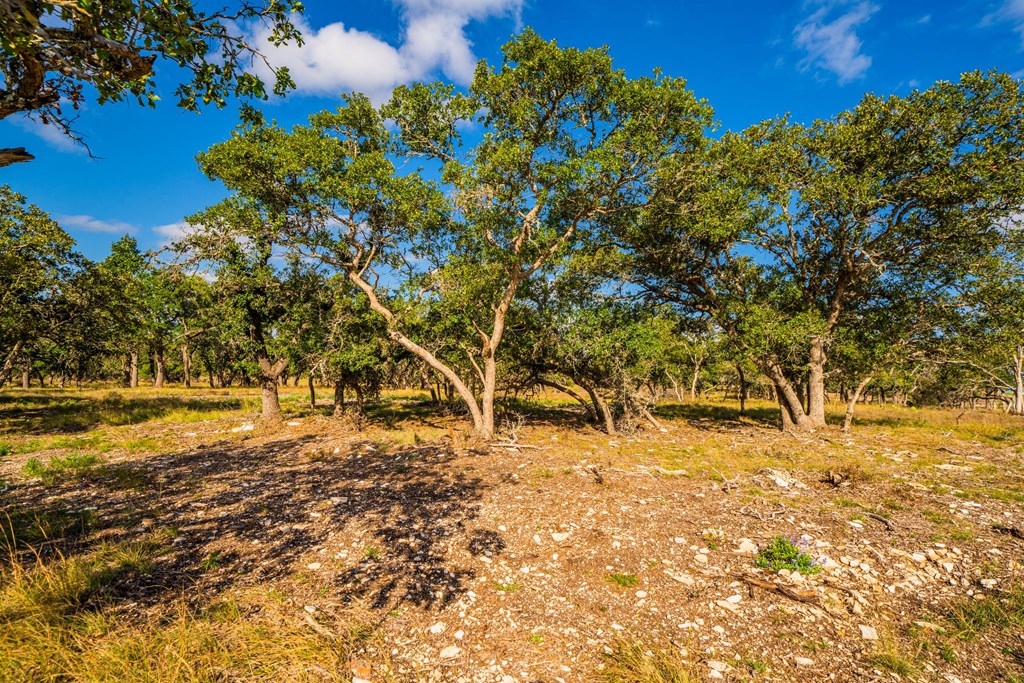 Lot 33 Reservation Road, Unit 33 Harper, TX 78631 - Photo 5 of 5 Gallery Image 5