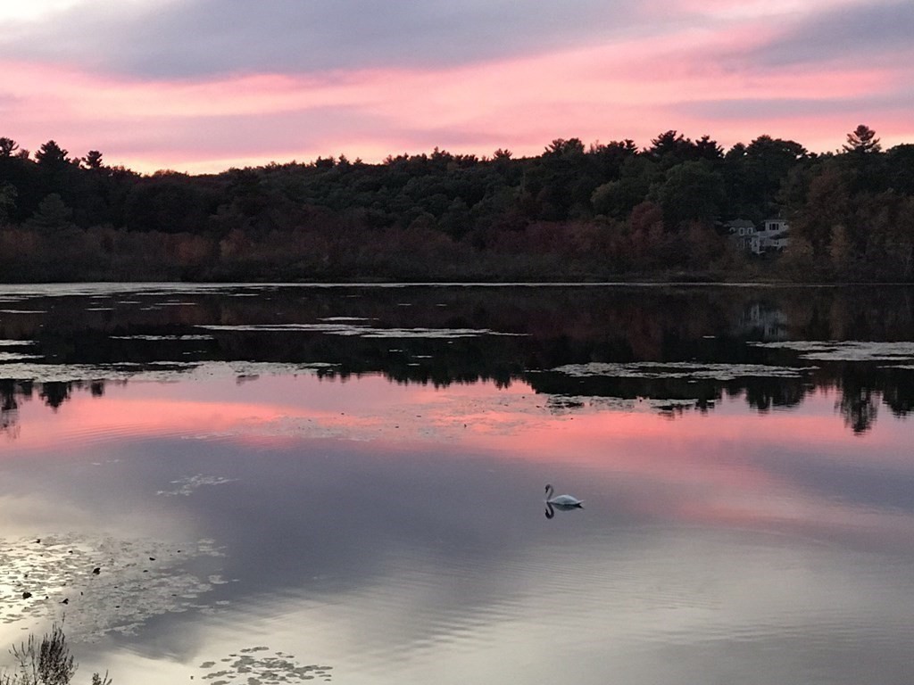 16 Milford Avenue Natick, MA 01760 - Photo 32 of 34