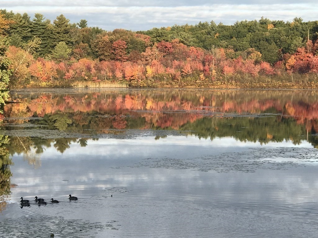 16 Milford Avenue Natick, MA 01760 - Photo 34 of 34 a view of a lake