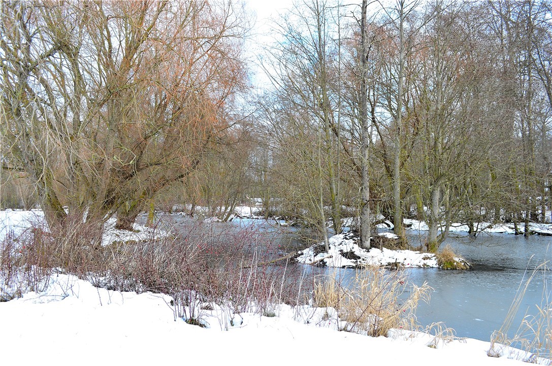 973 Ward Road Sequim, WA 98382 - Photo 21 of 29