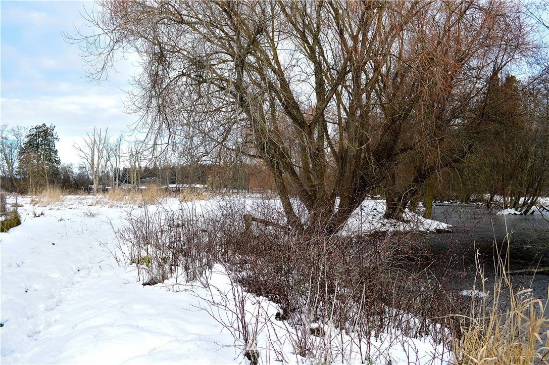 973 Ward Road Sequim, WA 98382 - Photo 23 of 29