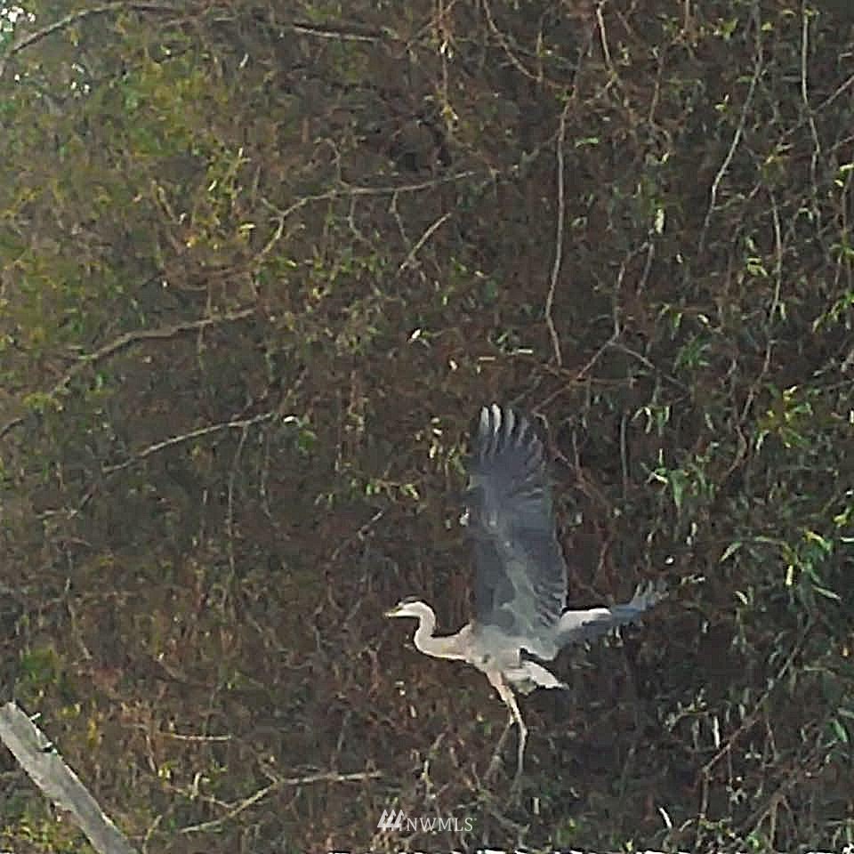 973 Ward Road Sequim, WA 98382 - Photo 27 of 29