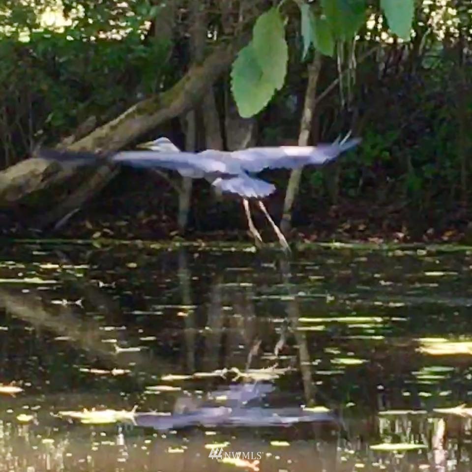 973 Ward Road Sequim, WA 98382 - Photo 28 of 29