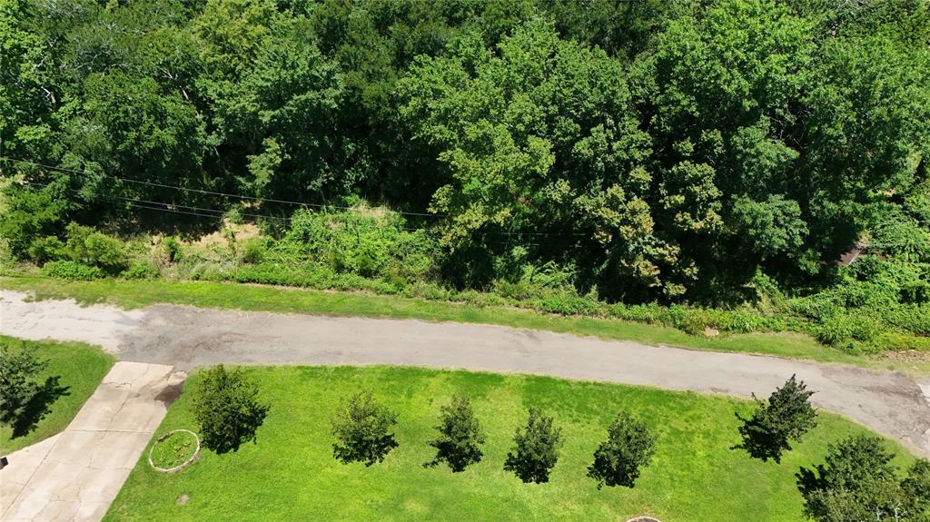 Tbd Ripplewood Drive Paris, TX 75462 - Photo 3 of 6 a view of a yard with plants and a large tree