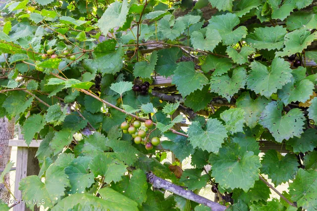 $435,000 | 497 Hardison Drive, Minnesott Beach, NC 28510